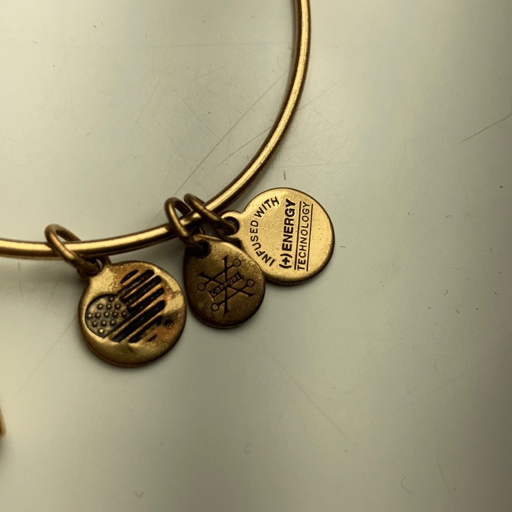 Alex and Ani Unbreakable Love Charm Bangle - Picture 4 of 9